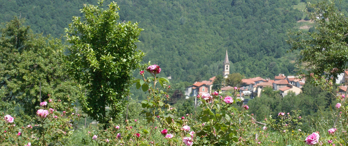 La nostra azienda
